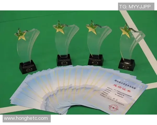 武汉羽毛球队状态分析与未来发展展望的深度探讨