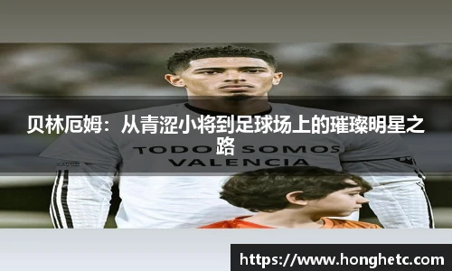 平博pinnacle体育平台